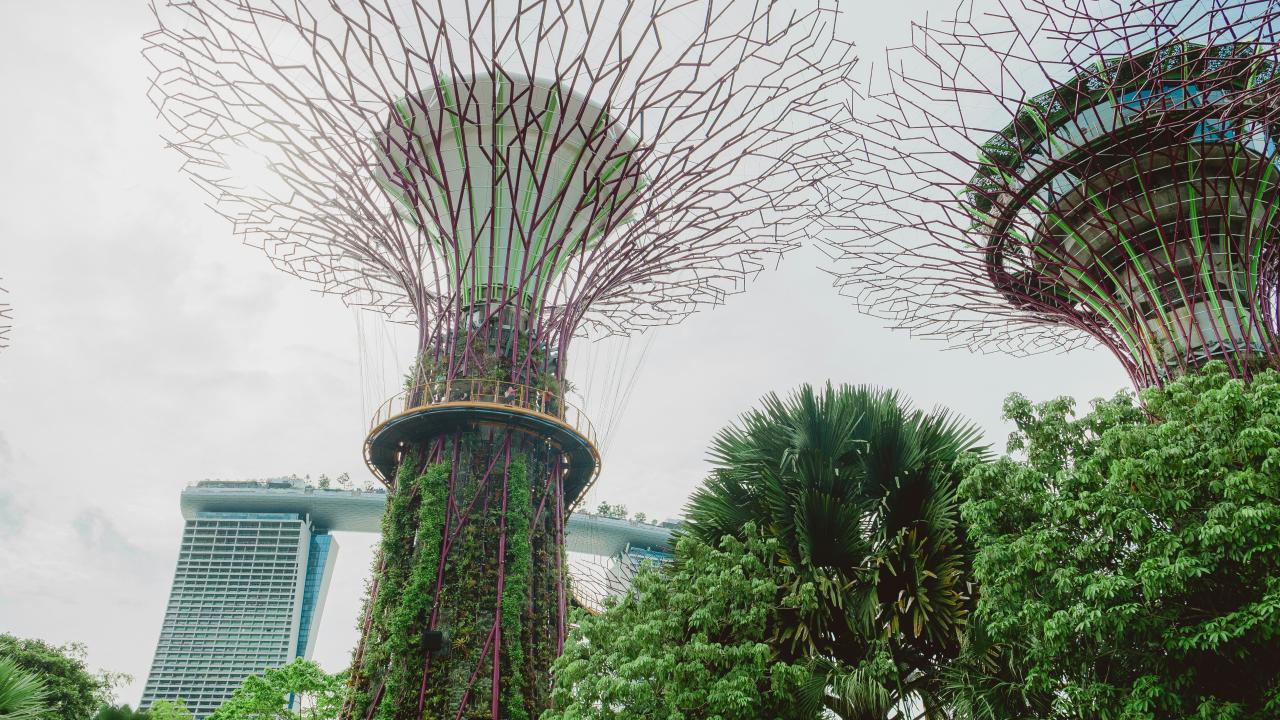 Gardens by the bay features impressive supertrees.