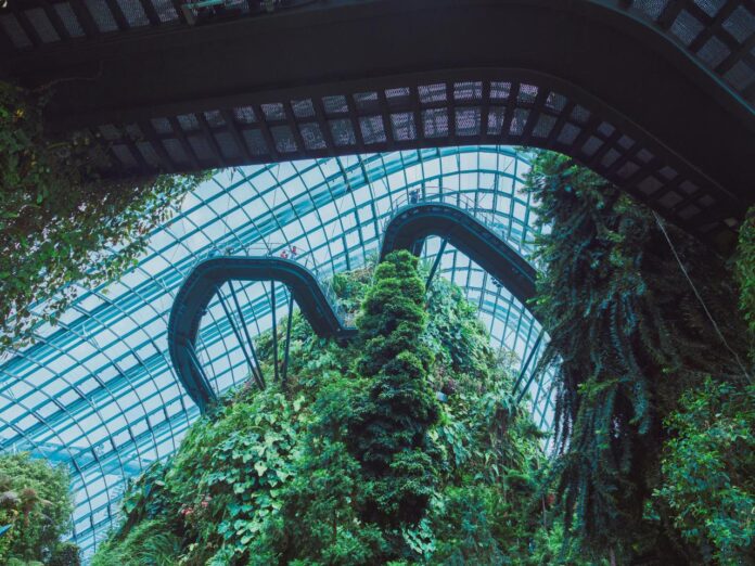 Gardens by the bay, a beautiful indoor conservatory.